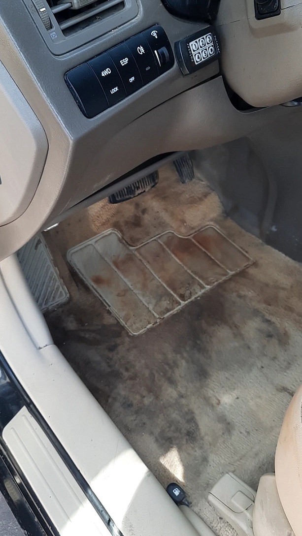 Multi - Taski ���� ������ ������ ������ ������ �� / ��� 18 ���� Oforia
